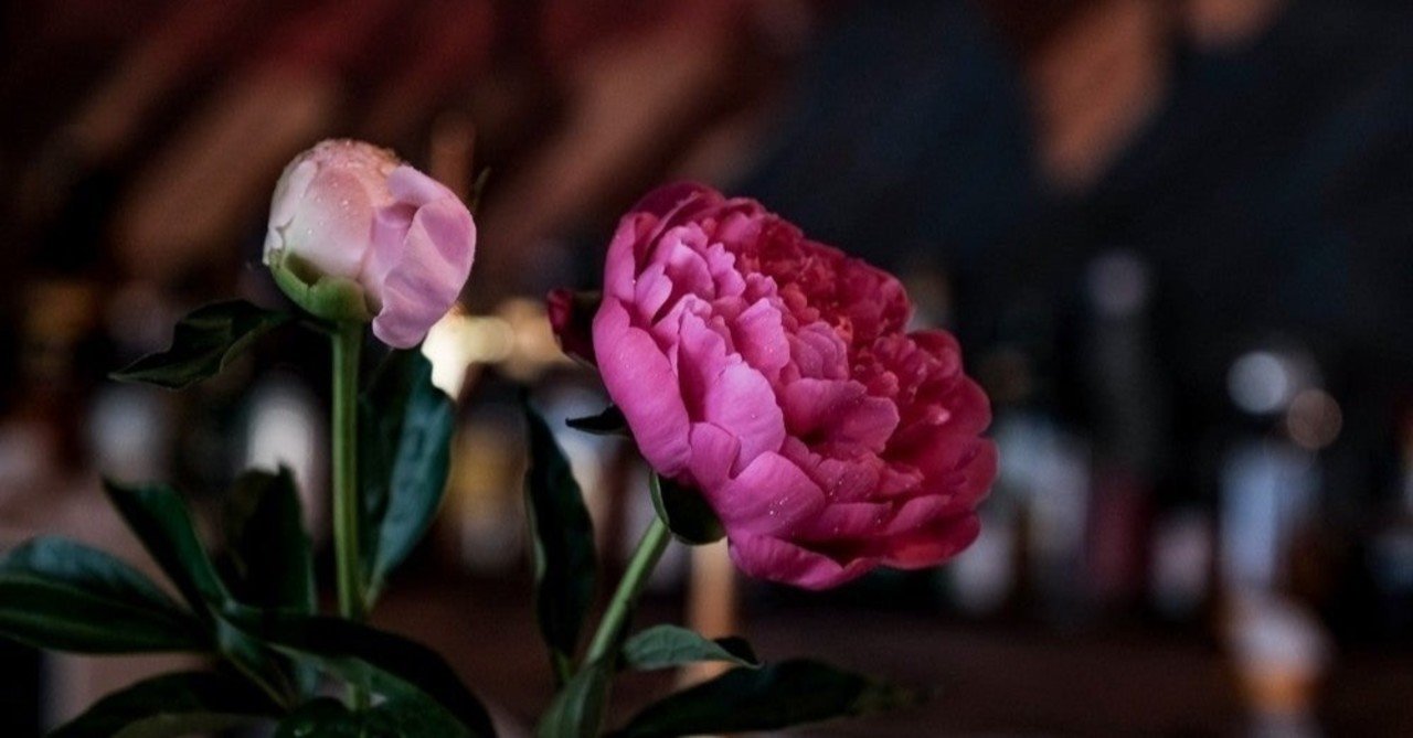 鮮やかな静寂の午後 英語学習６３日目 渡邊愛子 Note