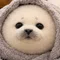 海ポテト