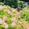 えみこ │ 40代からの生き方・働き方