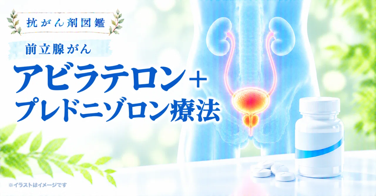 [Prostate Cancer] About Abiraterone + Prednisolone Therapy｜抗がん剤図鑑 ...
