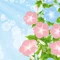 あさの ひより