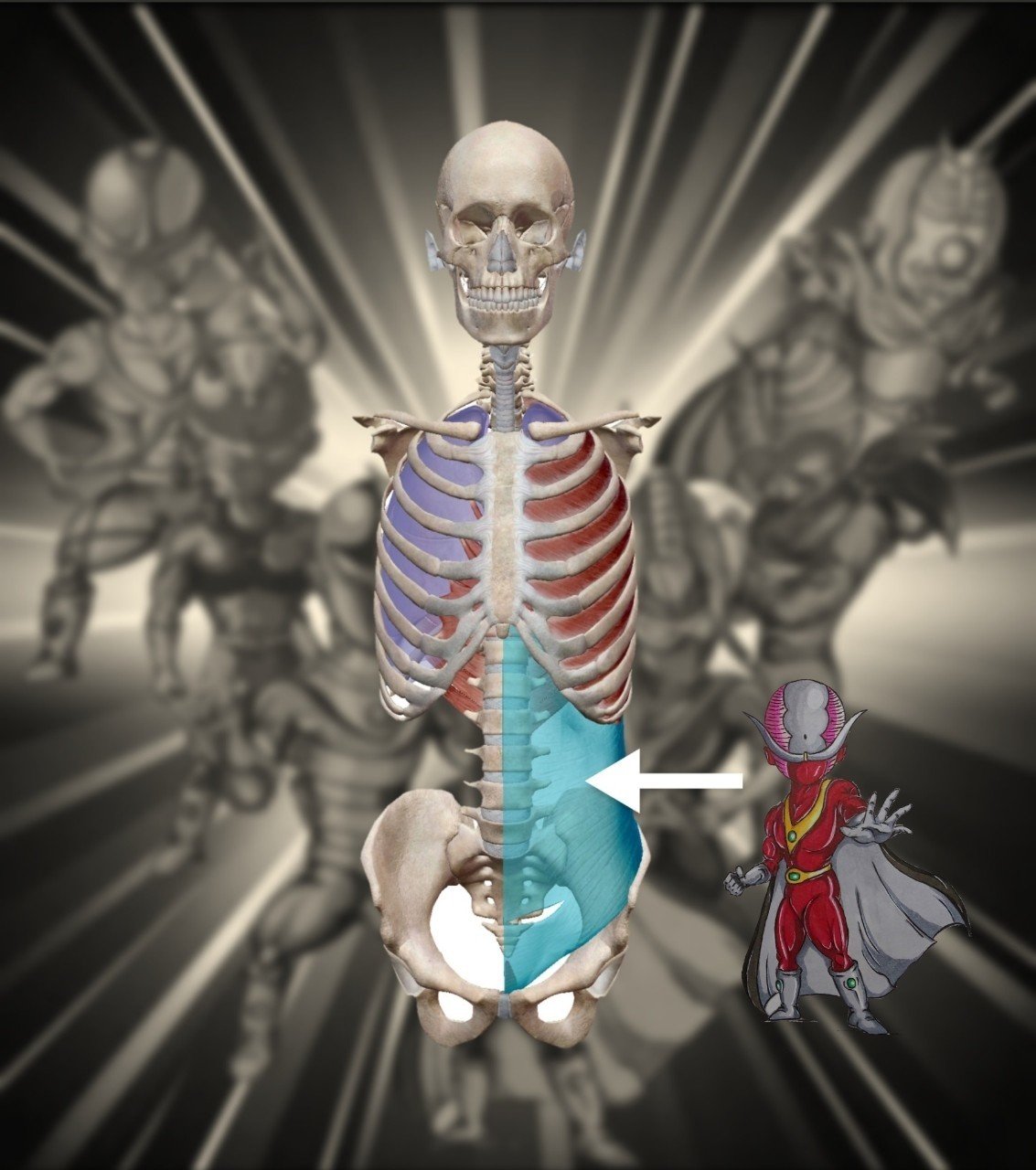 第2話 腹横筋レッド Kensakubito Note