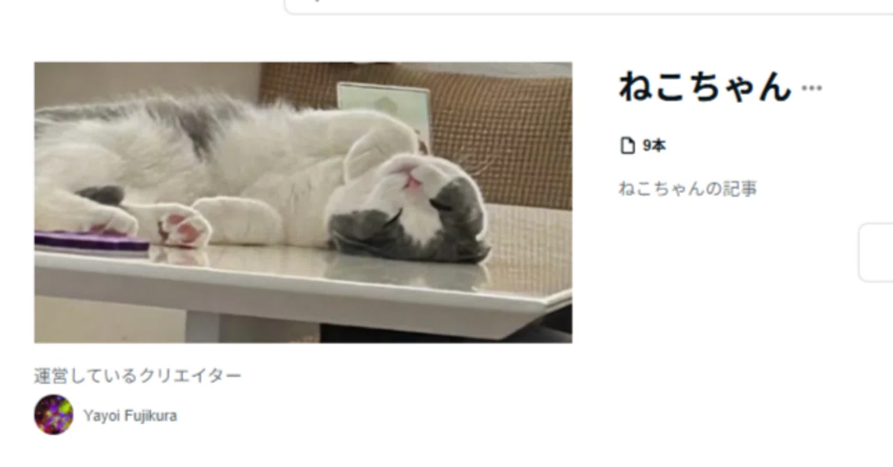 猫さんの秀逸な記事ばかりを収録した、キュートなマガジン〈ねこちゃん
