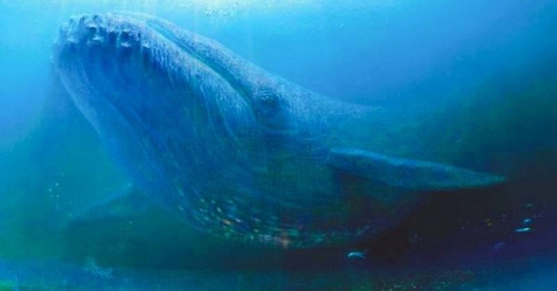 52ｈｚの鯨に思いを馳せる 千裕 Graceful Landscape Note