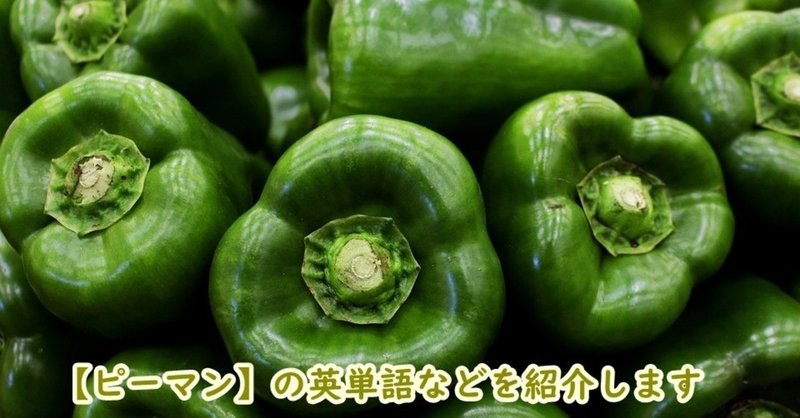 Green Pepper の新着タグ記事一覧 Note つくる つながる とどける