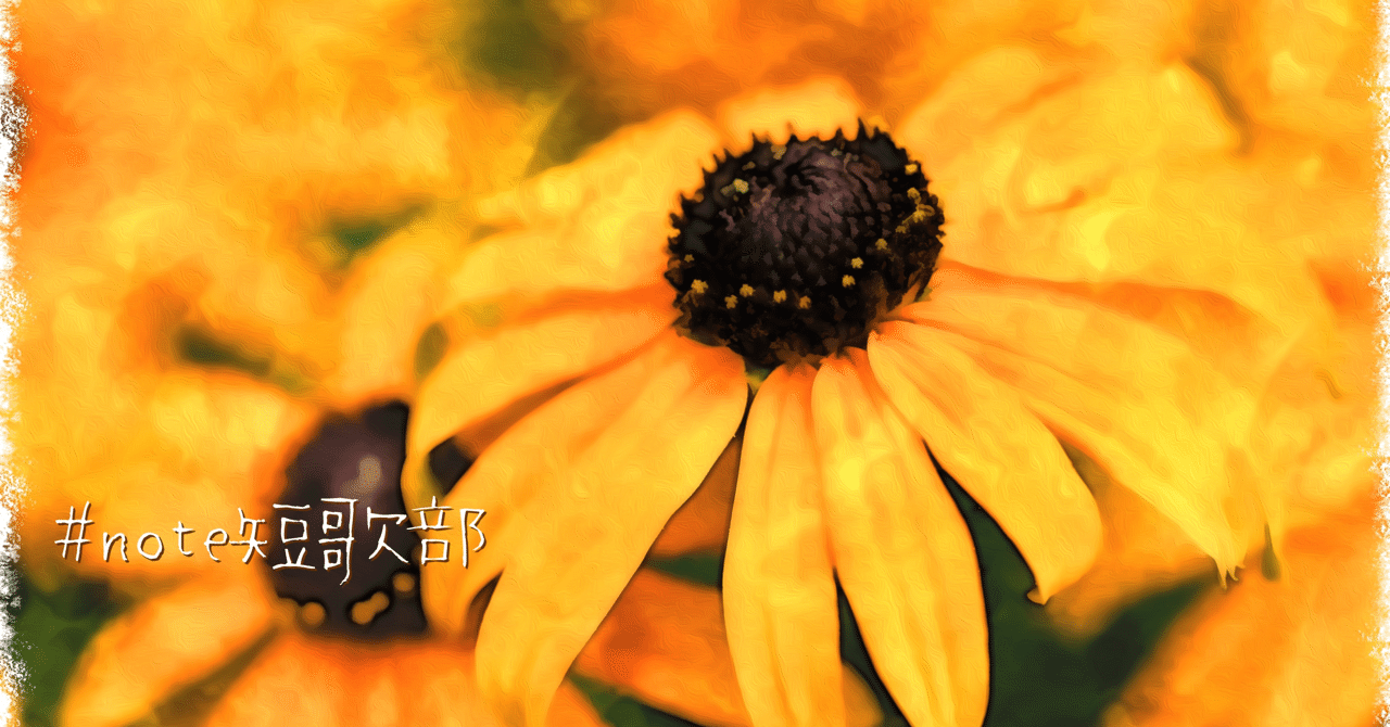 短歌 7月31日 誕生花はルドベキア Note短歌部 御子柴 流歌 Note