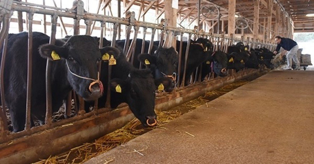 家畜小屋の飼育員 Yomogida4 Note 家畜小屋の飼育員 Yomogida4 Note