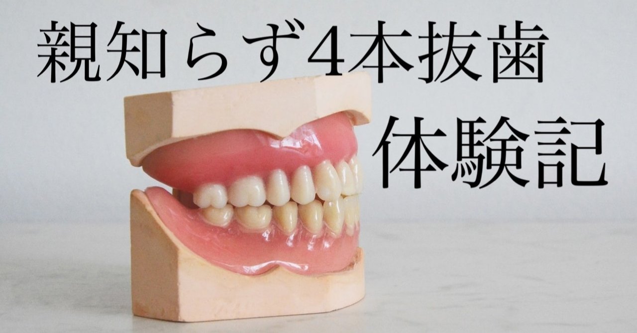 4本抜歯 の新着タグ記事一覧 Note つくる つながる とどける 4本抜歯 の新着タグ記事一覧 Note つくる つながる とどける