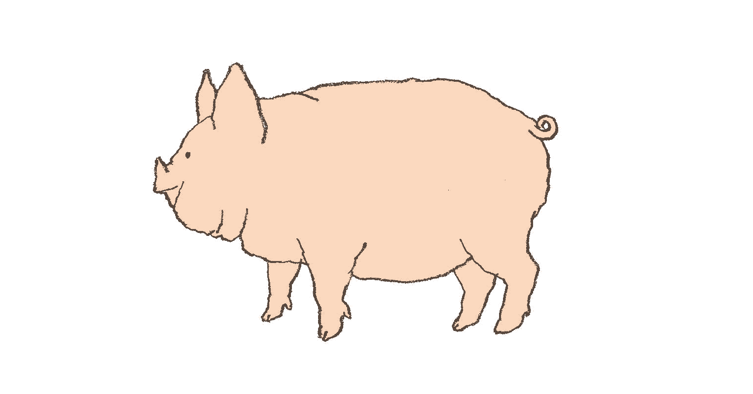 仏語12ヵ月 仏語版peppapigに等倍速で挑戦して見つけた傑作選 みそー英 仏 ポ語を勉強中 Note 仏語12ヵ月 仏語版peppapigに等倍速で挑戦して見つけた傑作選 みそー英 仏 ポ語を勉強中 Note