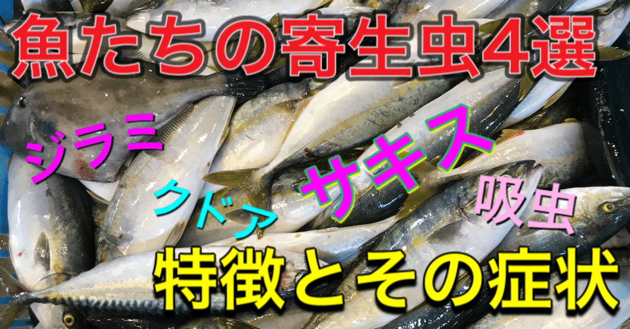 魚につく寄生虫の種類と症状 釣り 山阿呆の大学生 Note