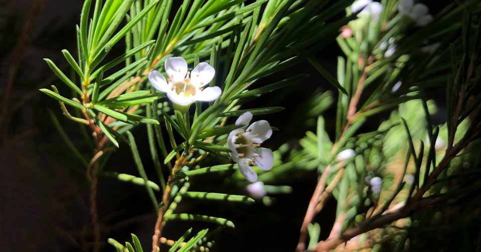 つなげる 広げる 育てる コーディネーターという仕事 オランドゆるエッセイvol 3 Next Commons Lab 弘前 Note