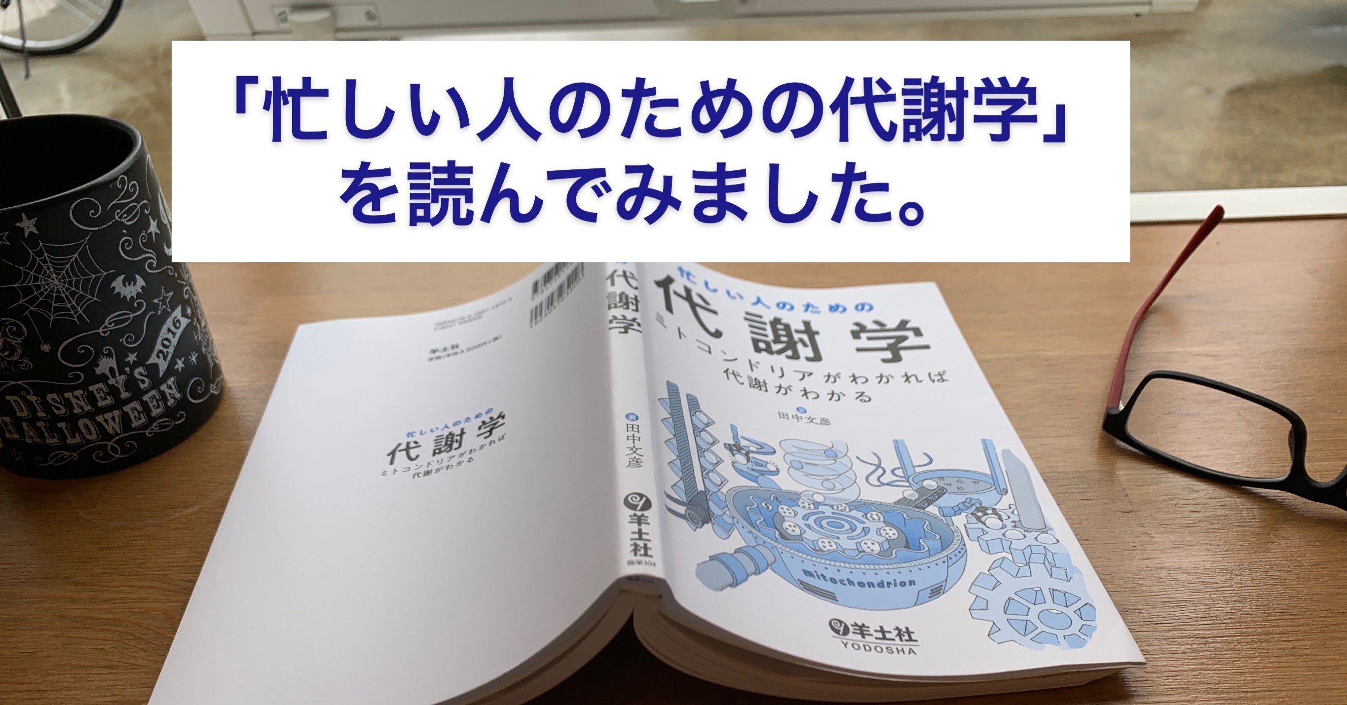 忙しい人のための代謝学 を読んでみました 早川コータの漢方labo 早川弘太 国際中医専門員 健康管理士 Note