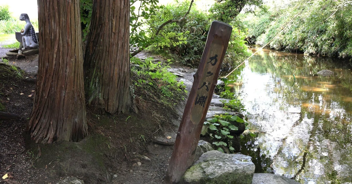 で,河童は?」 -『遠野物語』58話の河童淵は,ここではなかった＠遠野