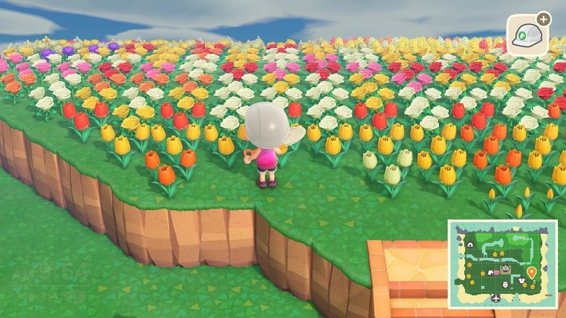 あつまれどうぶつの森 島滞在日記６月 ７月 前編 とらつぐみ Note