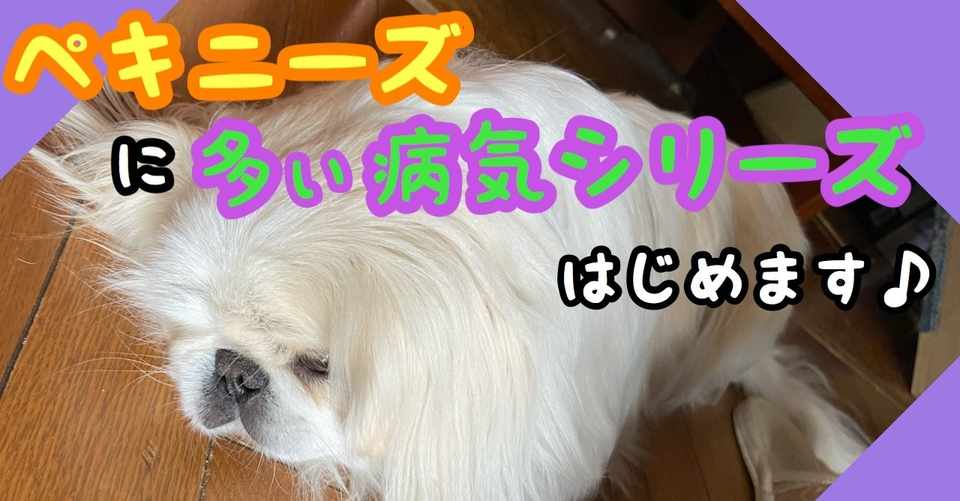 ペキニーズに多い病気シリーズ はじめます ドッグライフサポーター 獅子パパ Note