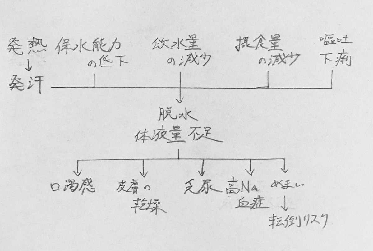 看護過程】関連図が書けるようになる方法〜頻出テンプレ〜｜鳩
