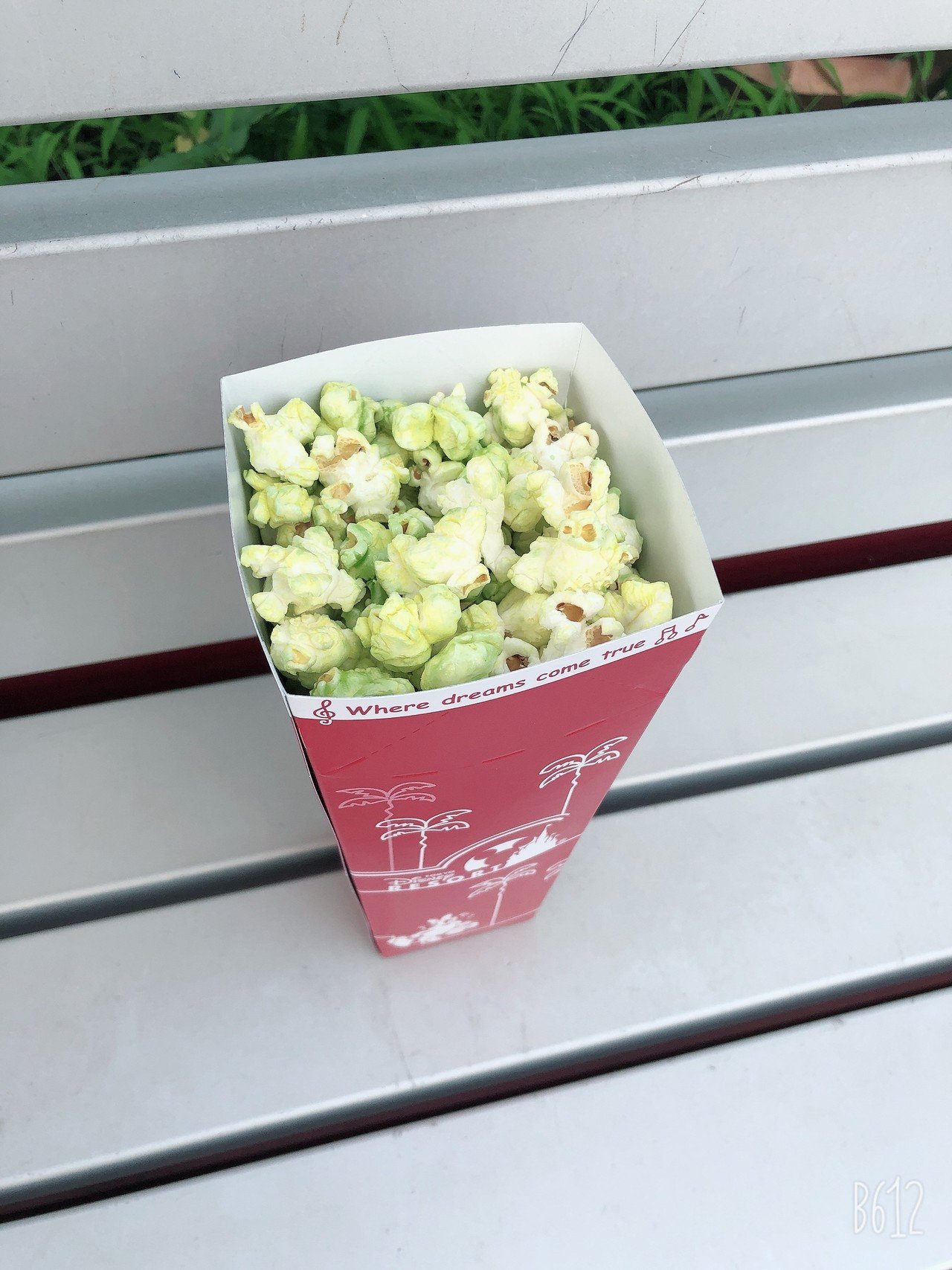 営業再開後 初めてディズニーに行ってきました 後編 Runa Note 営業再開後 初めてディズニーに行ってきました 後編 Runa Note