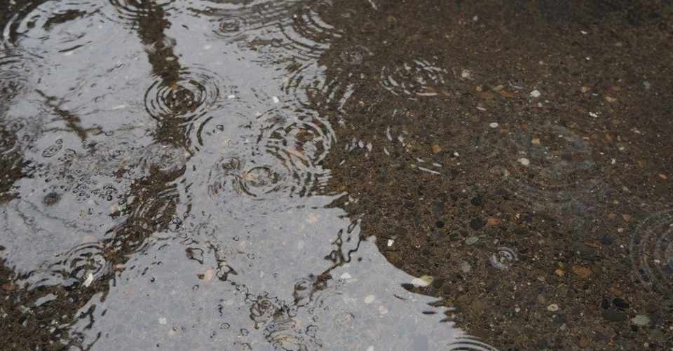 死んだ人を繰り返し殺めるのをやめてほしい たいしょー Note