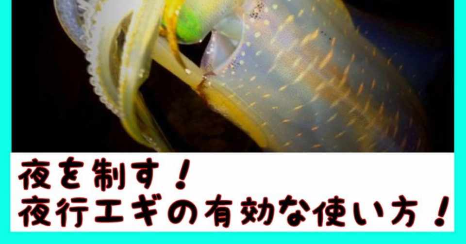 夜を制す 夜光エギの有効な使い方とは オンライン釣り塾 Fishing 科学 こう兄 公式 Note