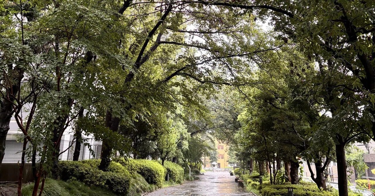 R8.9.20｜雨の日に見えた、子どもたちの成長｜判断軸｜Three Steps