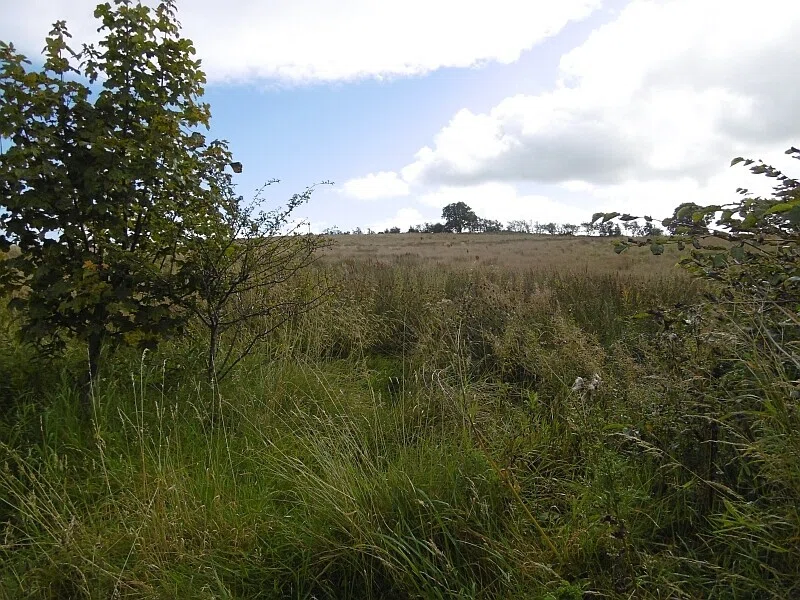 Abandoned farmland, Springhill - geograph.org.uk - 4683549