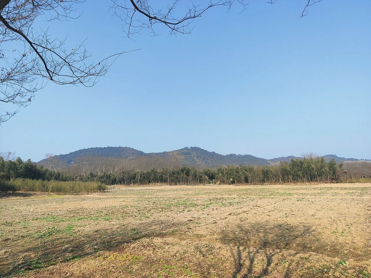 Farmland abandoned in winter in Anji County