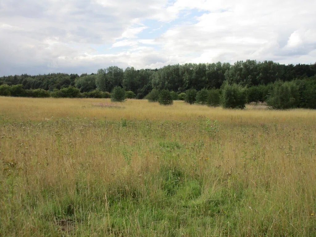 Abandoned farmland north of Broughton - geograph.org.uk - 4643411