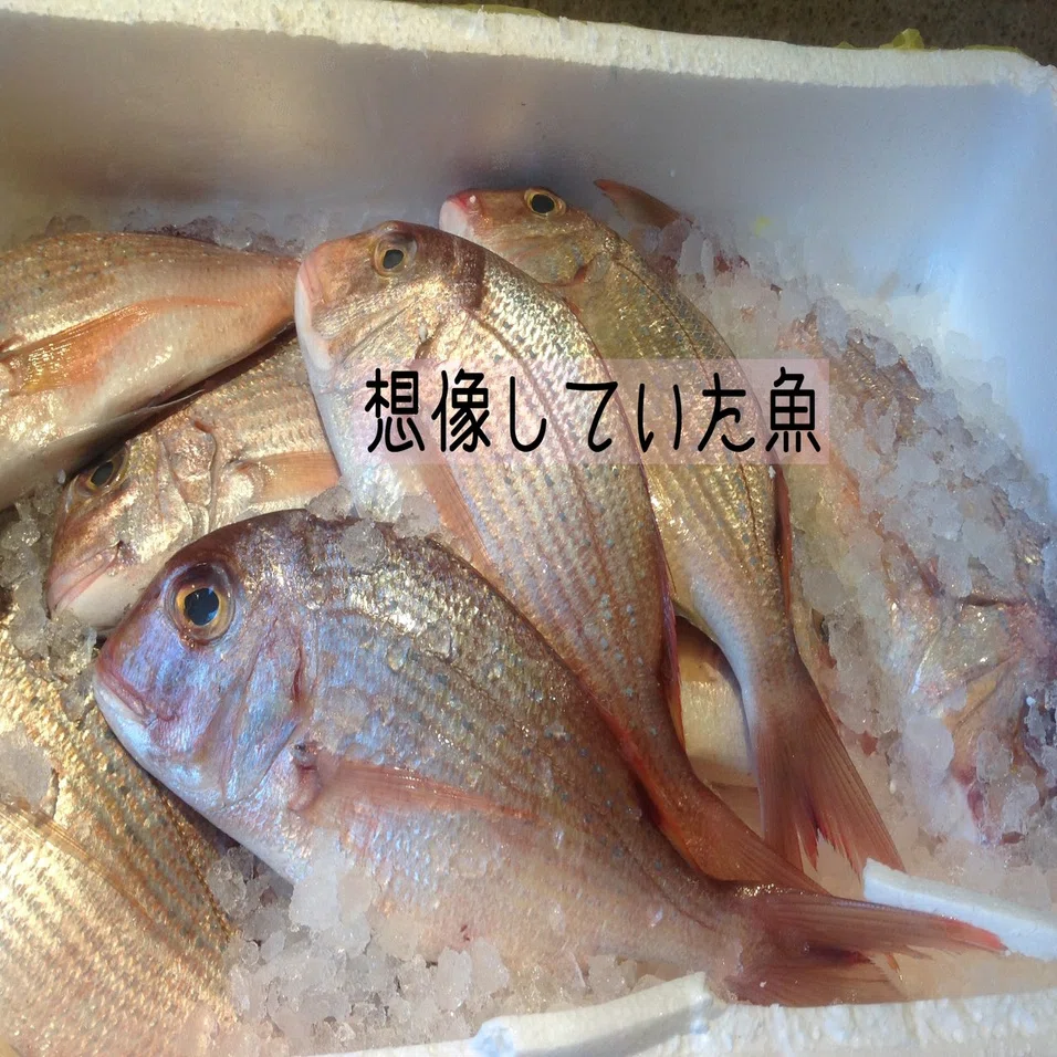 思っていた魚と違う😳海外の魚屋編｜プリヒル姉さん(魚屋)
