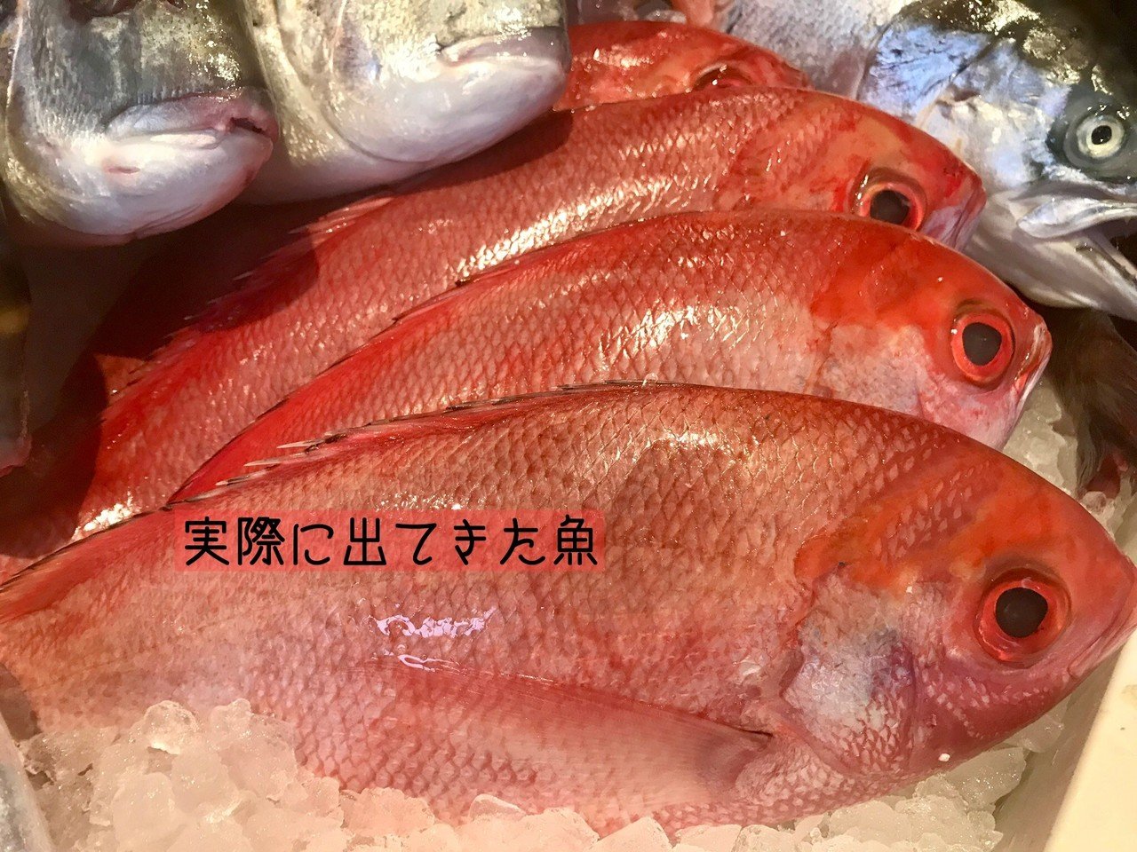 思っていた魚と違う 海外の魚屋編 プリヒル姉さん 魚屋 Note