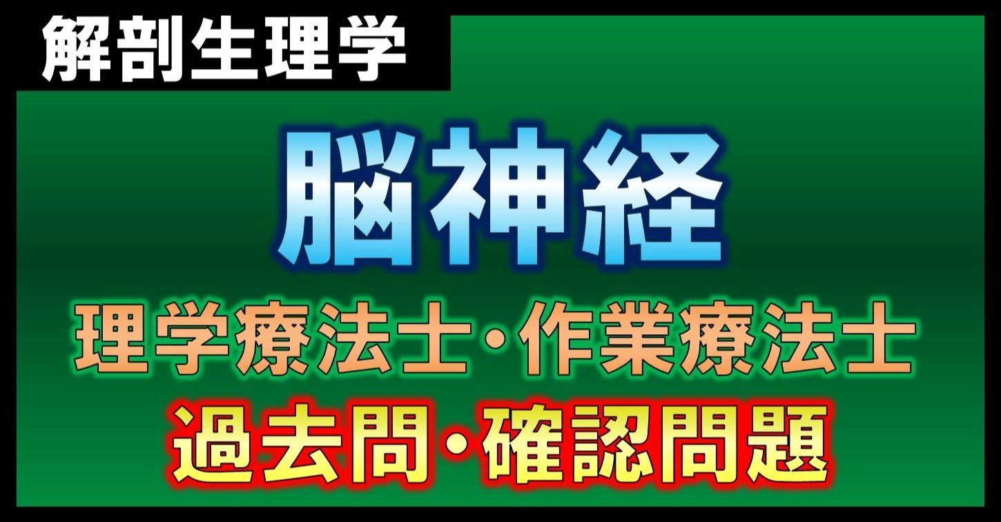 解剖生理学 脳神経 確認問題 理学療法士 作業療法士 理学療法士作業療法士 国家試験攻略note 西島紘平 Note