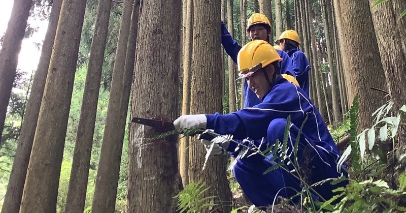 😸【貴志川高校】仲間と力を合わせて森を守る！2年生が挑んだ森林体験学習