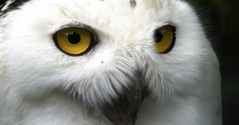 運転が荒いのが悩みです してはならないことをしないことが本当に難しい 赤野公昭 Note