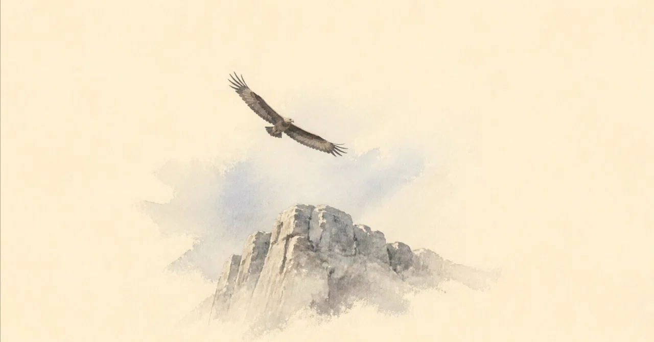 The Bearded Vulture's Main Diet Is Bone｜ゲンクロウ