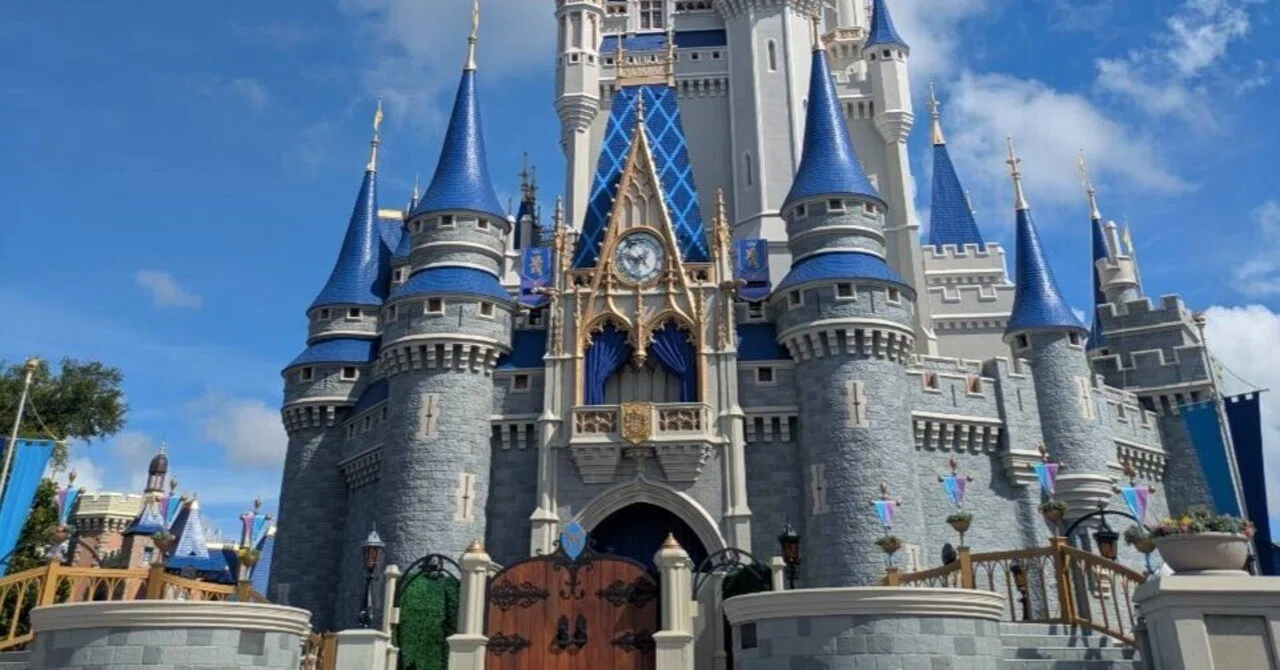 フロリダディズニー】WDW個人手配旅行記【その①】出立編｜サワダ