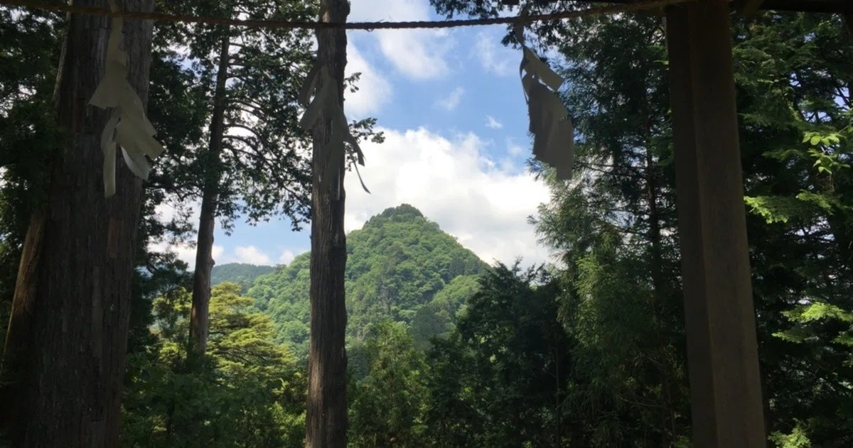 画像8
