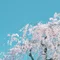 高橋あつむ