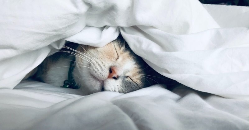 の 眠れ 音楽 とき ない