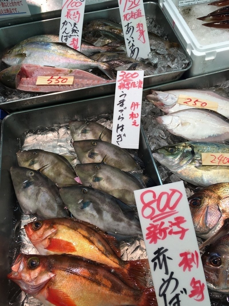 埼玉でも 失礼 魚が超美味い件 Tokoちゃん Note 埼玉でも 失礼 魚が超美味い件 Tokoちゃん Note