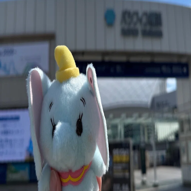 DLC横浜〜神戸大会レポート】社会人カードゲーマーの独り言※全文無料