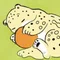くわげ
