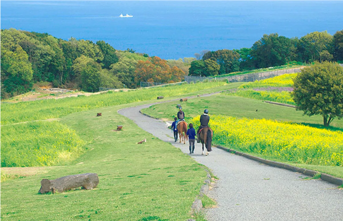 淡路島