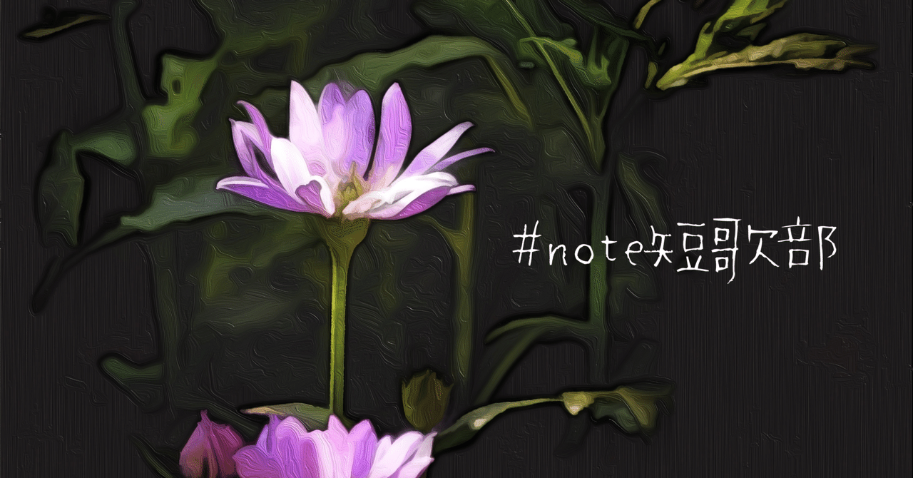 短歌 8月1日 誕生花はミヤコワスレ Note短歌部 御子柴 流歌 Note 短歌 8月1日 誕生花はミヤコワスレ Note短歌部 御子柴 流歌 Note