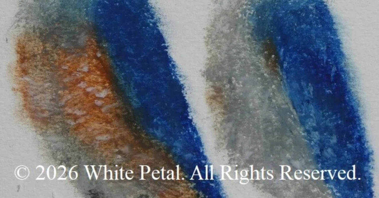 D30_オイルパステルで引き続きチャレンジ｜White Petal
