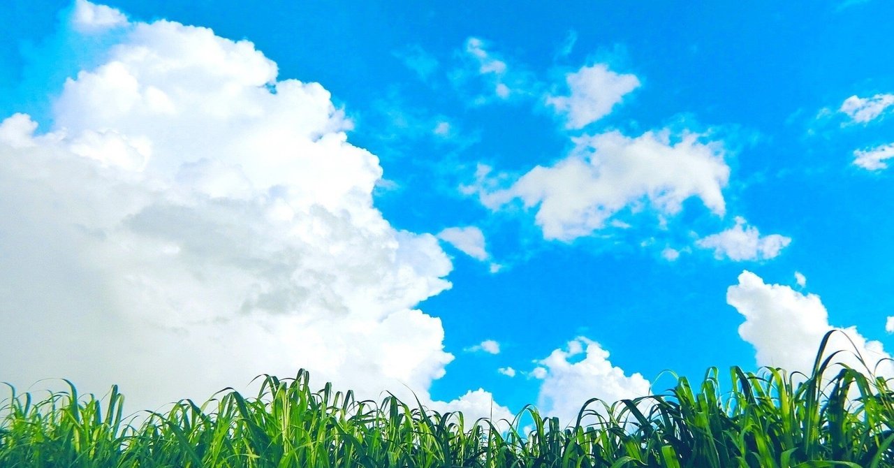 rectangle_large_type_2_a625498