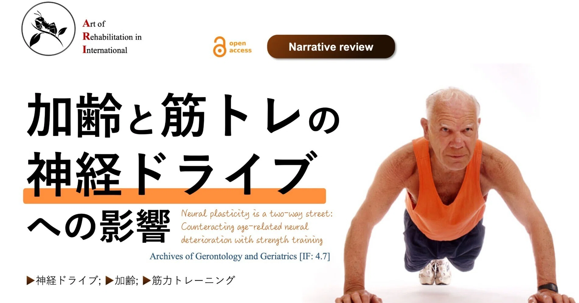 加齢と筋トレの神経ドライブへの影響｜Super Human | 理学療法士／保健