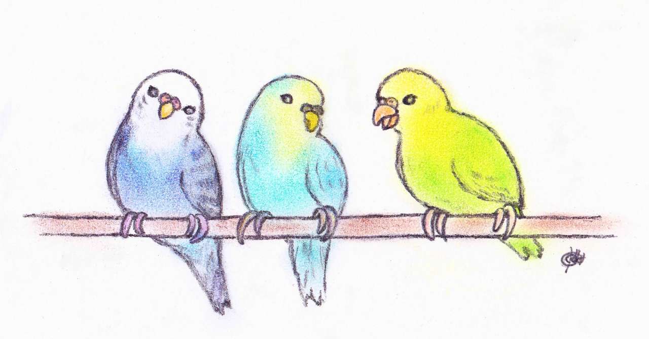 小さな御話 インコの学校 のねずみ Note