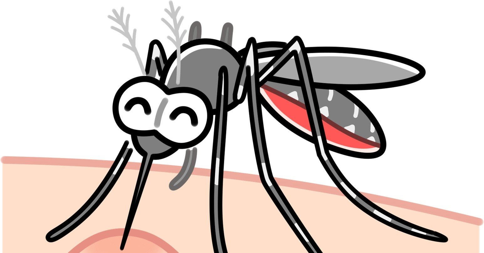 蚊に刺された時はムヒが最強 おうじの部屋 Note