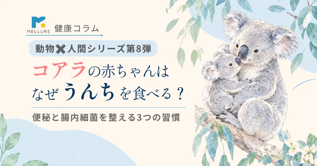 Why do baby koalas eat 