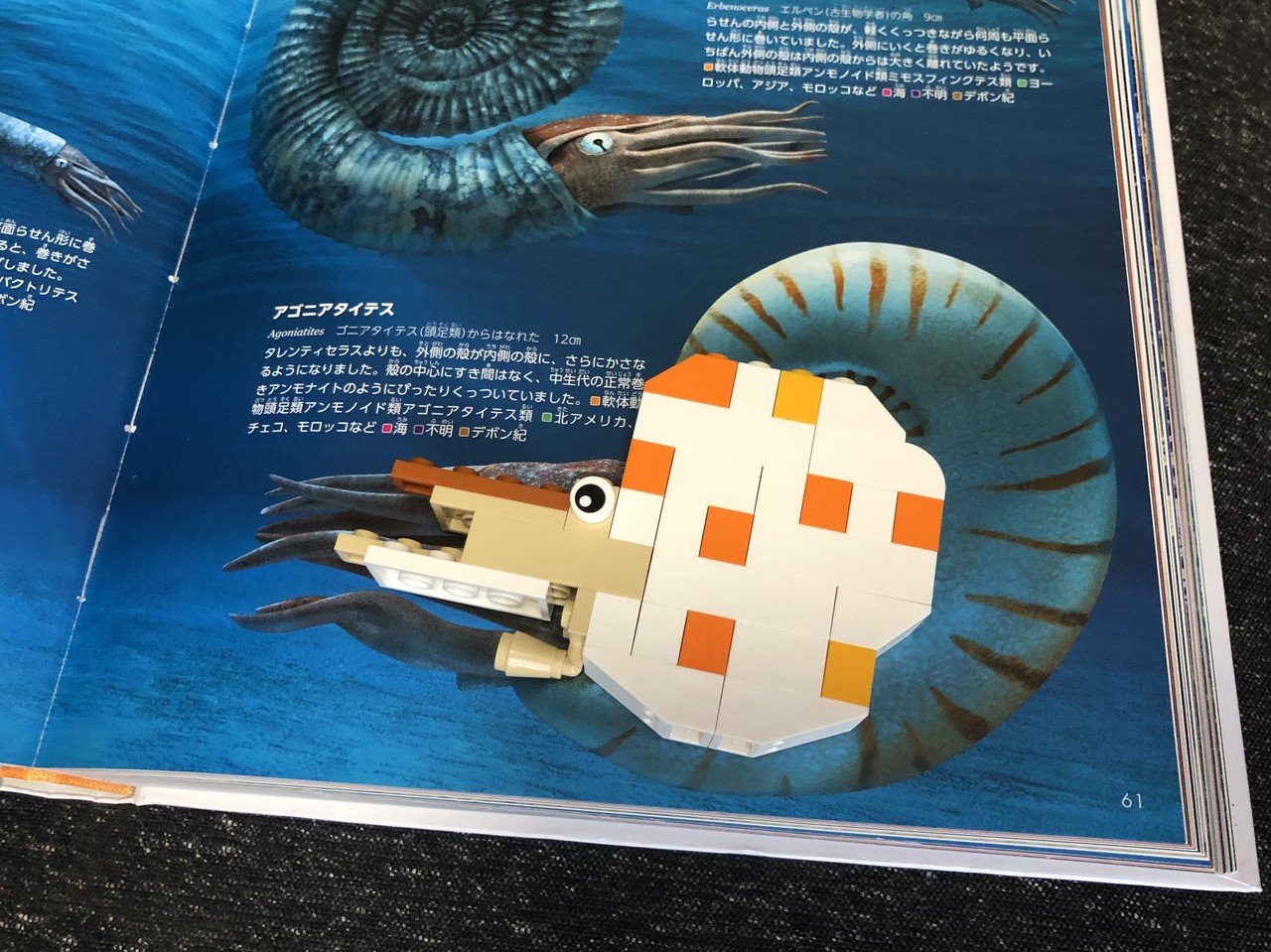 レゴギャラリー vol.17 『オウムガイ』｜ヨシヒロ