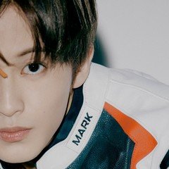 僕が総理大臣になったら 石川明大 ミスターセンクス Note